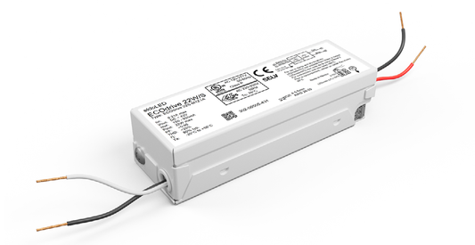 EC22S-M1Z0A1 250MA LOG
