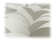 NAP-0058-007-PL